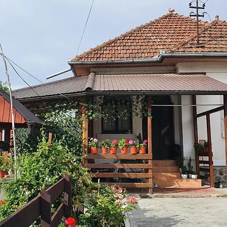 La Ferma Vakantieboerderij Galesu