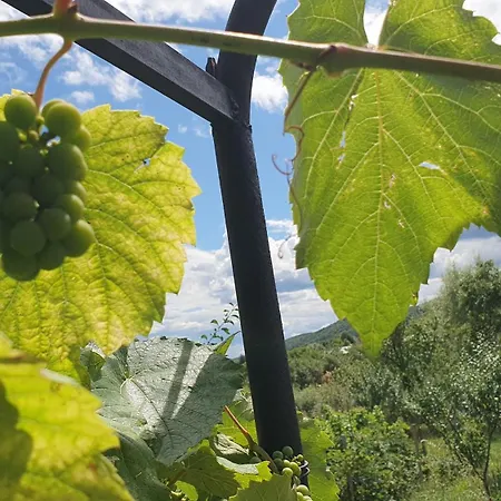 La Ferma Vakantieboerderij